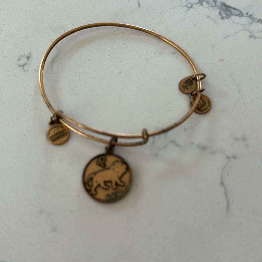 Alex and Ani Gold Leo Charm Bracelet
